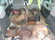 vand punte pe dublu pt.ford transit-arcuri-cardane