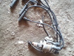 Piese auto Suzuki
