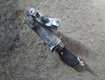 Piese auto Audi