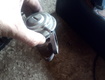 Piese auto Audi