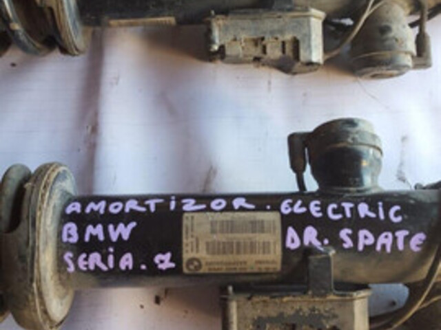 Amortizor Stanga Spate Electric Bmw Seria 7 (2008 >) [f01 F02 F03 F